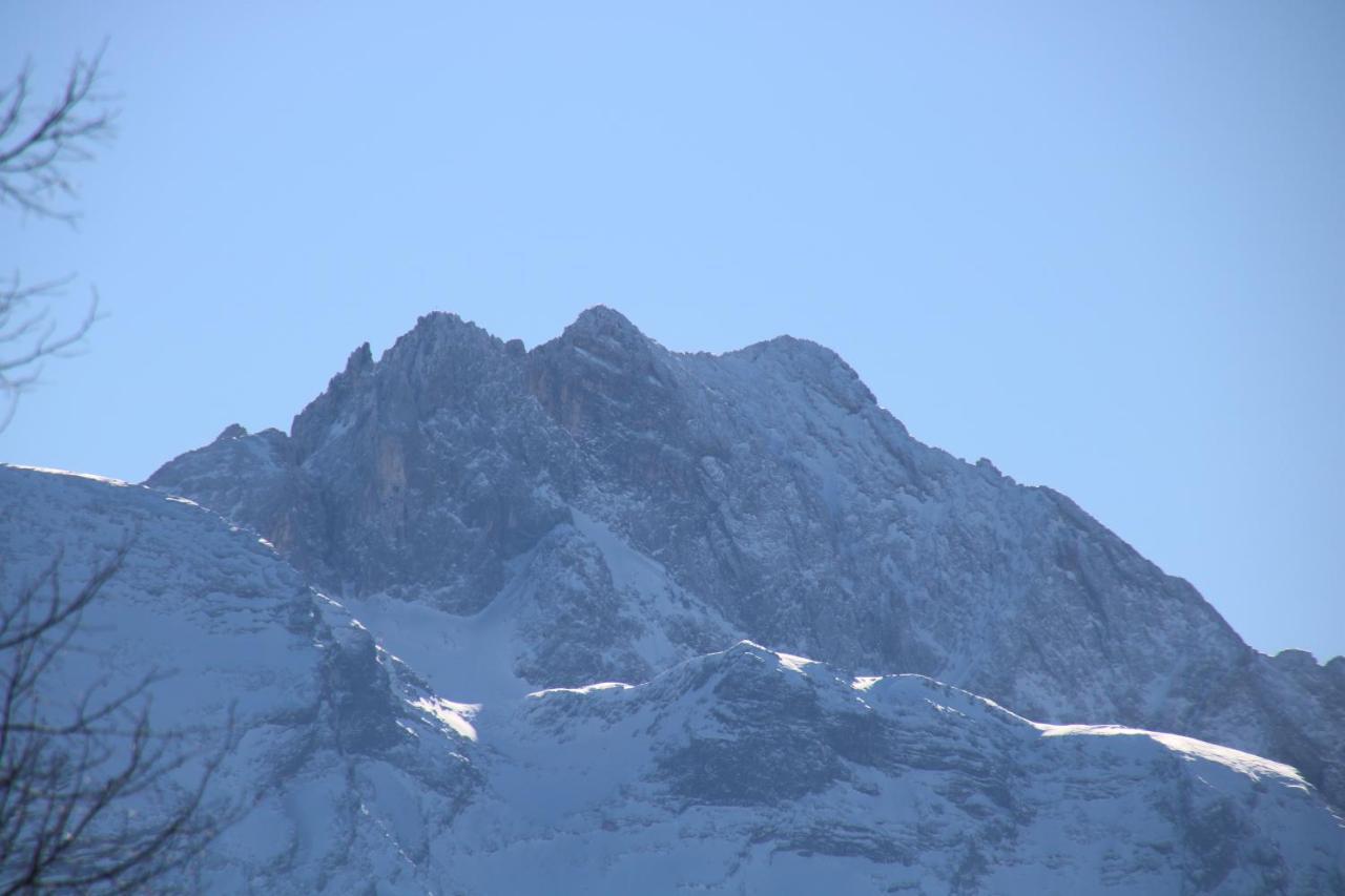 Alpen - Apartments II Garmisch-Partenkirchen Eksteriør billede